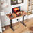 Standing & Height-Adjustable Desks-1172678784-1172678787