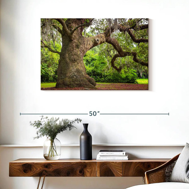 Harnek Live Oak Tree, 24" H x 36" W