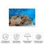 Rouleau de bolognaise sur un impression sur toile-98095201