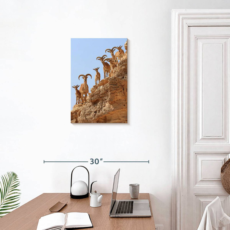 Brampt Goat Herd On Cliff, 24" H x 16" W
