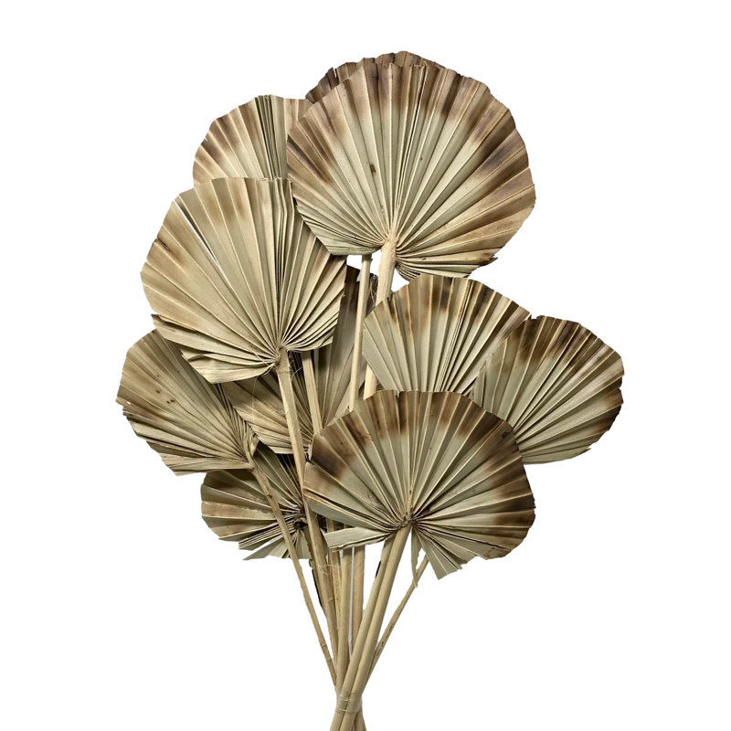 Fredson Arrangement