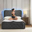 Grand lit standard avec rangement capitonné Queneisha-92435322-92435321