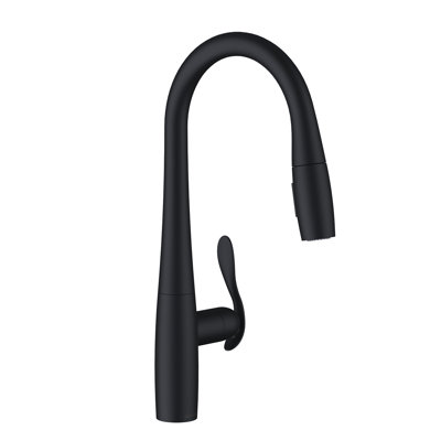 Selene® Single Handle Pull-Down Kitchen Faucet 1.75Gpm Stainless Steel