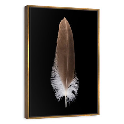 Eagle's Brown Feather
