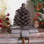 Pine Cone Christmas Stocking Holder