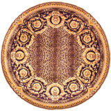 Fl01 Area Rug In Multi