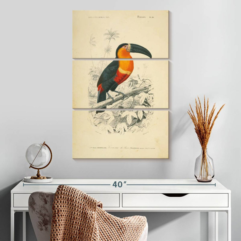 Brampt Toucan Du Para, 32" H x 20" W