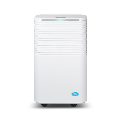 Compressor Dehumidifier