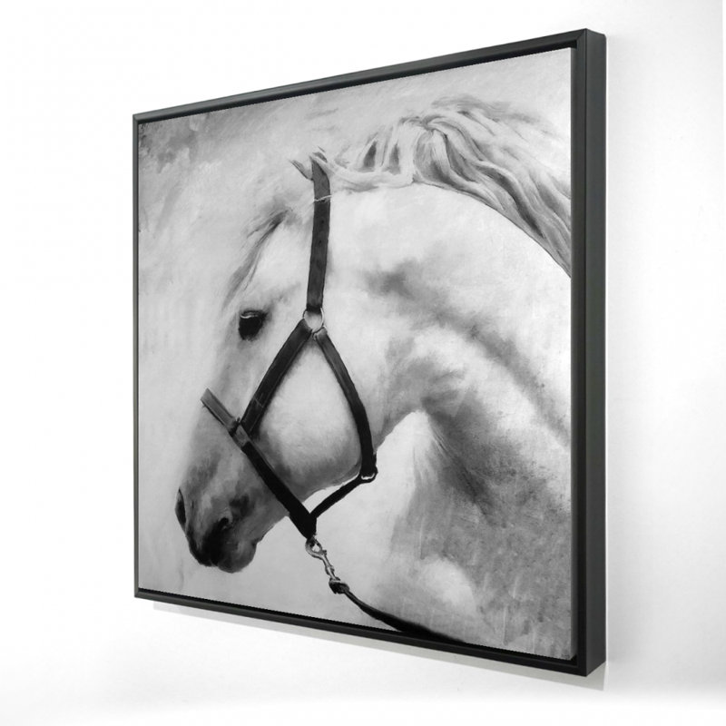 "Darius le cheval"