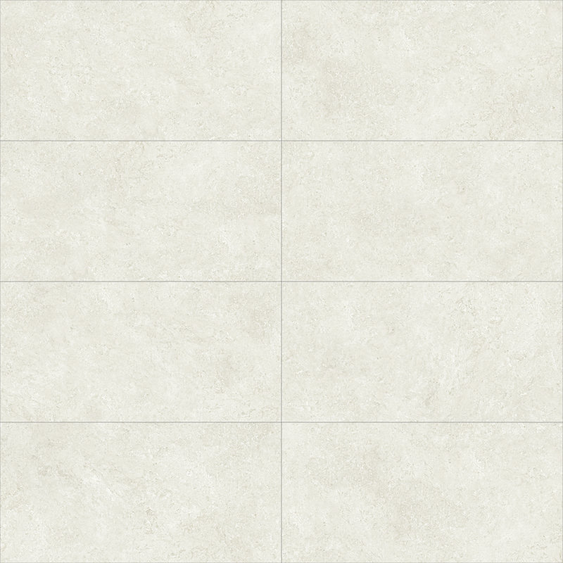Carrelage de sol et de mur en porcelaine mate 24 po x 48 po Aldora