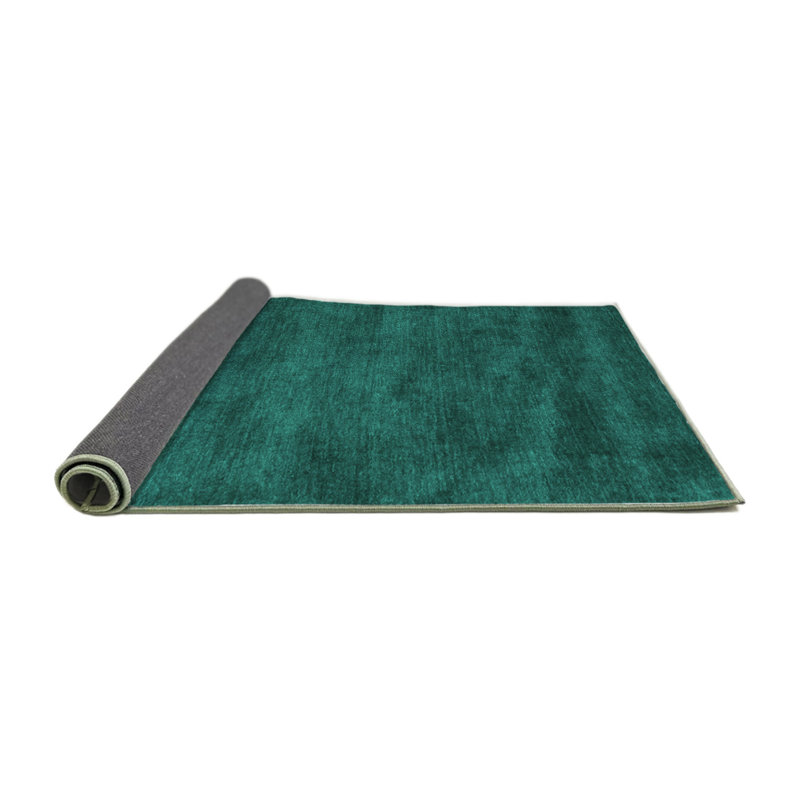 Pacuta Indoor Rug, Round 4'