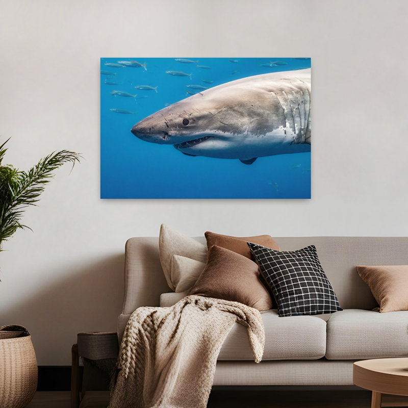 Powerful Great White Shark Contemporary Fish Shark Nature Ocean Wall Art Print, H 32 po x l 48 po