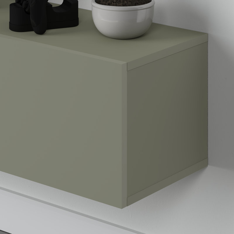 Kishon Wall-Mounted TV Stand for TVs up to 55" with Storage Cabinets, Ash Green