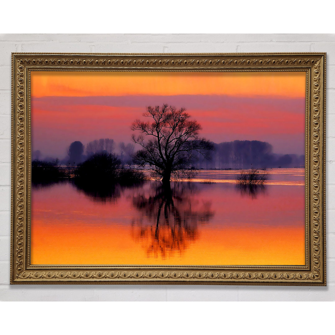 Orange Morning Reflections - Druck