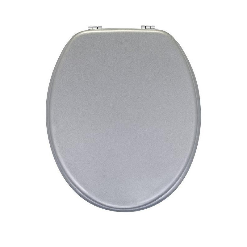Oval Hard Toilet Seat