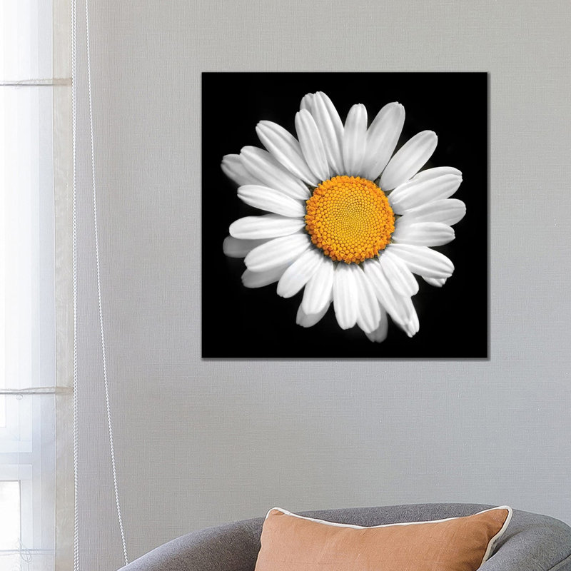 «There Is a Sun in Every Flower» par Ben Heine - impression d'art graphique, Pas de tapis, H 26 po x l 26 po x P 1,5 po