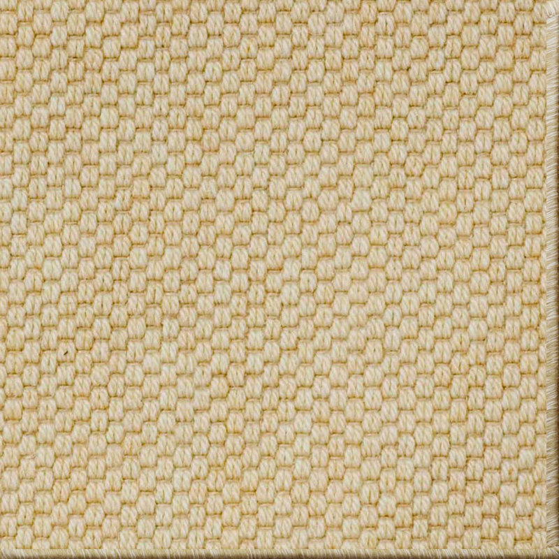Paray Indoor Rug, Rectangle 3' X 5'