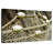 Senne Fishing Net On Board-108817354