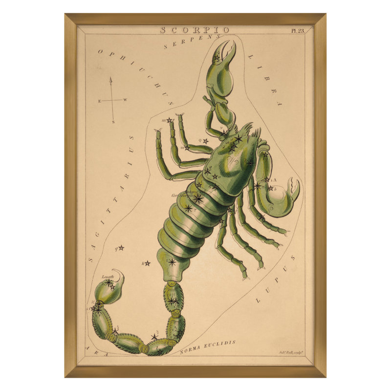 Scorpio Print by Grand Archives, 32" H x 23" W, Gold Framed