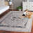 Rinnie Performance Oriental Rug-831151238