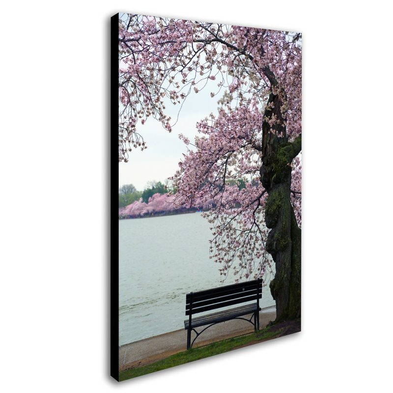 Tranquility, reproduction de photo sur toile tendue, H 32 po x l 22 po x P 2 po