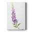 Annie's Foxglove II - galerie sur mesure Cavas-262551925