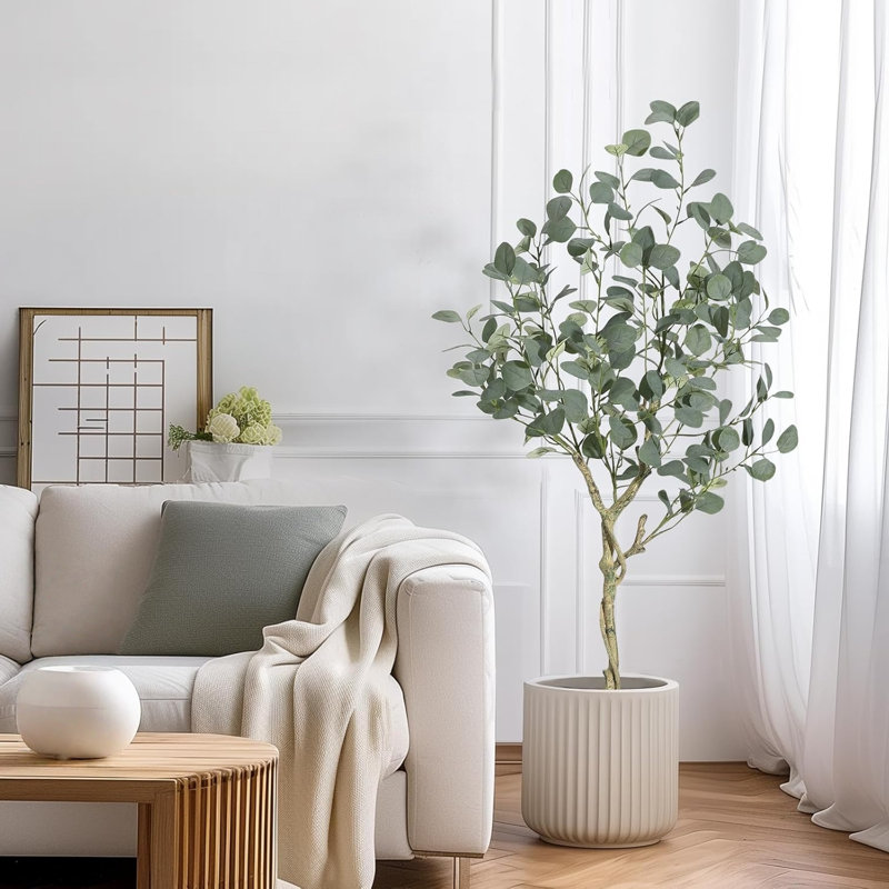 Plant, 121.92cm x 66cm
