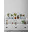 Abstract Pots And Oranges - Wrapped Canvas Painting-1553588208