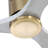 Nicola 52'' 3-Blade Ceiling Fan With Remote Control-1789334592