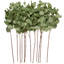 Polyester grand feuillage artificiel tige d'eucalyptus-1192923622