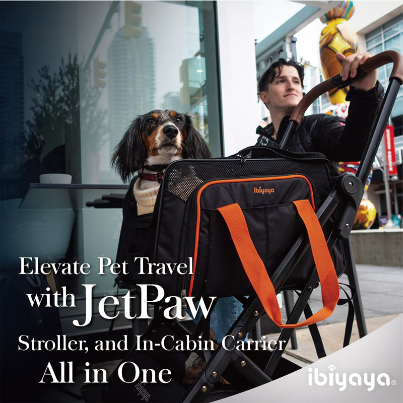 JetPaw Gray Expandable 3-in-1 Pet Carrier Stroller Backpack