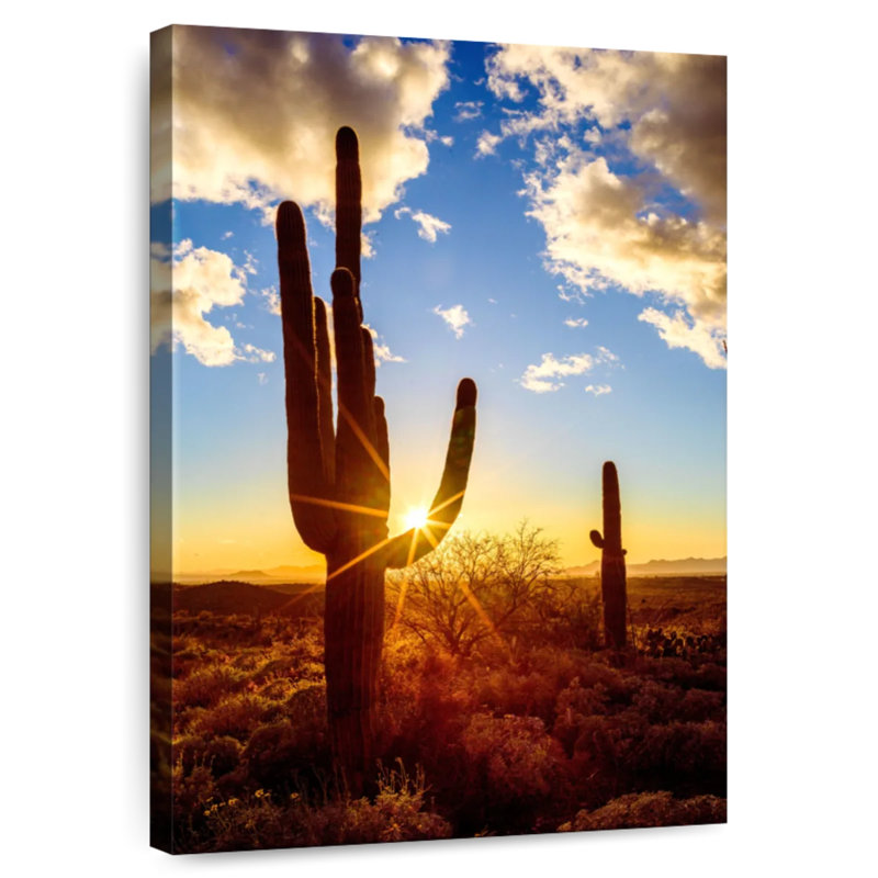 Parc national Aime Saguaro Est V, H 39 po x l 26 po
