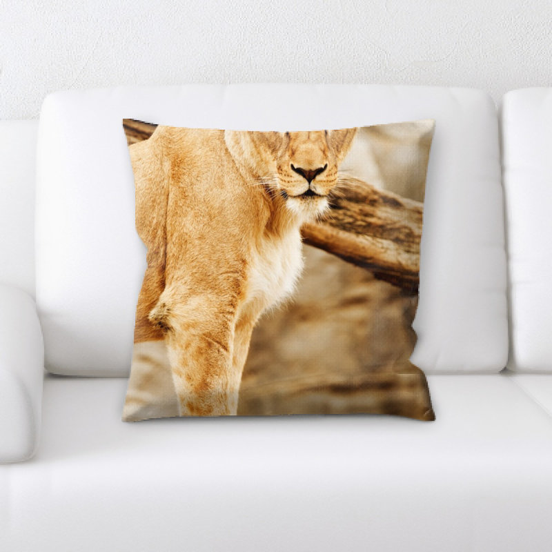 Coussin en afrique