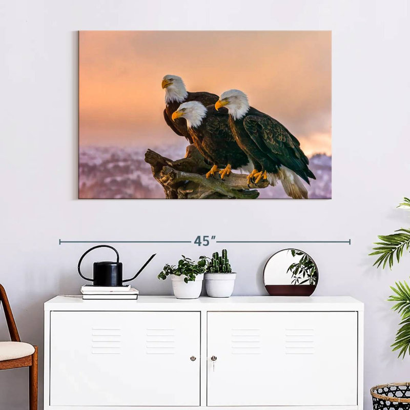 Brampt Three American Bald Eagles, H 26 po x l 39 po