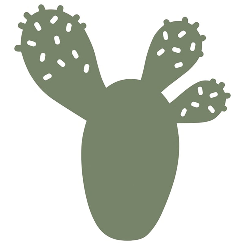Bouquet de cactus bouquet sauvage, Cactus