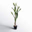 Cactus artificiel en pot-515654071