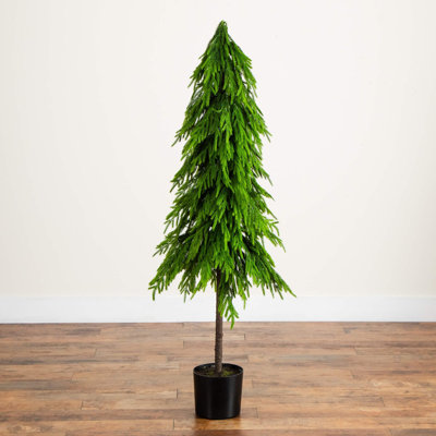 Pine Tree
