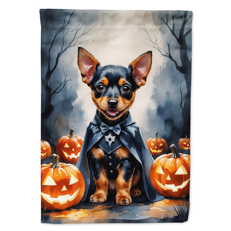 Drapeau de jardin chiot Halloween, Pinscher miniature