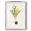 «Gathering up the Goddess II» - Toile tendue avec châssis-272335082