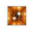 Rustic Lodge 2 - Light Pendant-16183457