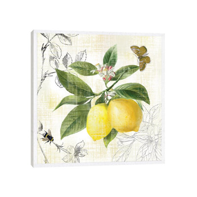 Linen Lemons I by Nan - Print on Canvas