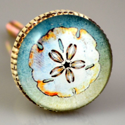 Poignée fantaisie Sand Dollar (ensemble de 4)