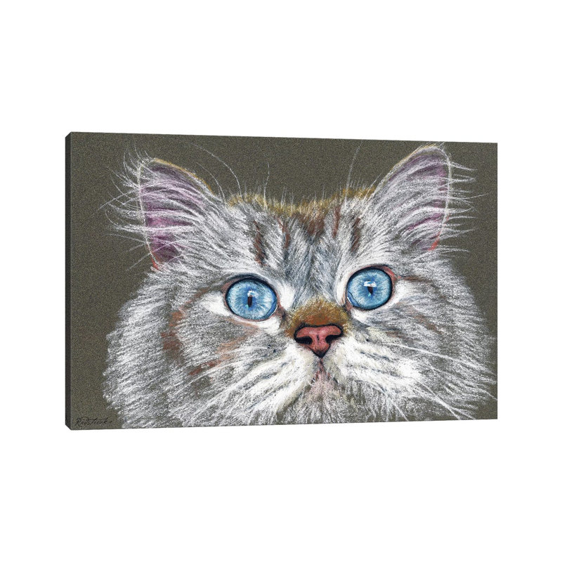 Surprised Cat by Jennifer Redstreake - 1 Piece Wrapped Canvas Wall Art, 20.32 cm H x 30.48 cm W