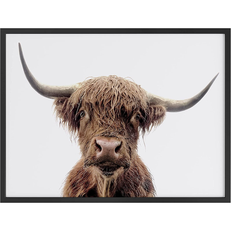 Thin Brown Highland Cow Portrait - Photographie avec cadre, Noir