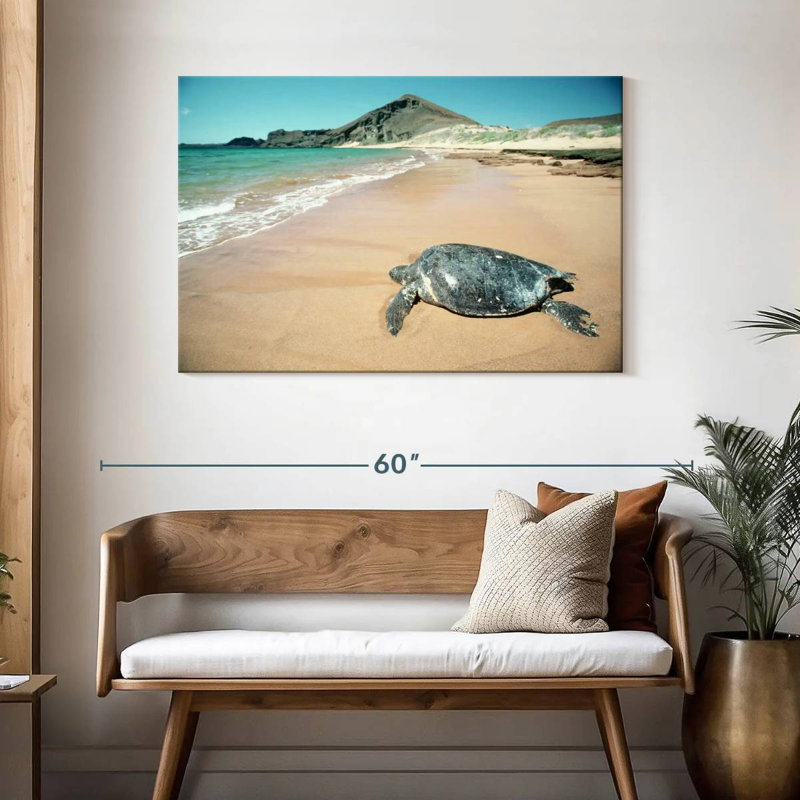 Brampt Galapagos Loggerhead Turtle, 30" H x 45" W