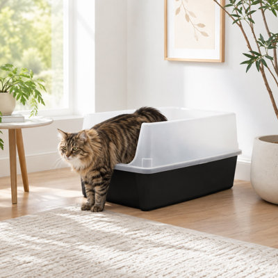 XXL High-Sided Cat Litter Box with Scatter Shield for Large Cats
