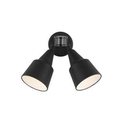 Metal Flood Light