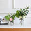 Agencement de rose et de rose à motif floral de couleur vase-846570612-846570613
