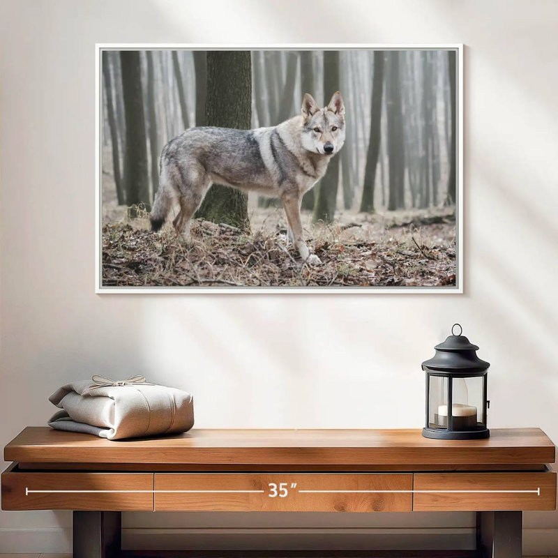 Loup d'hiver brumeux, Cadre flottant blanc, 25 po x 17 po