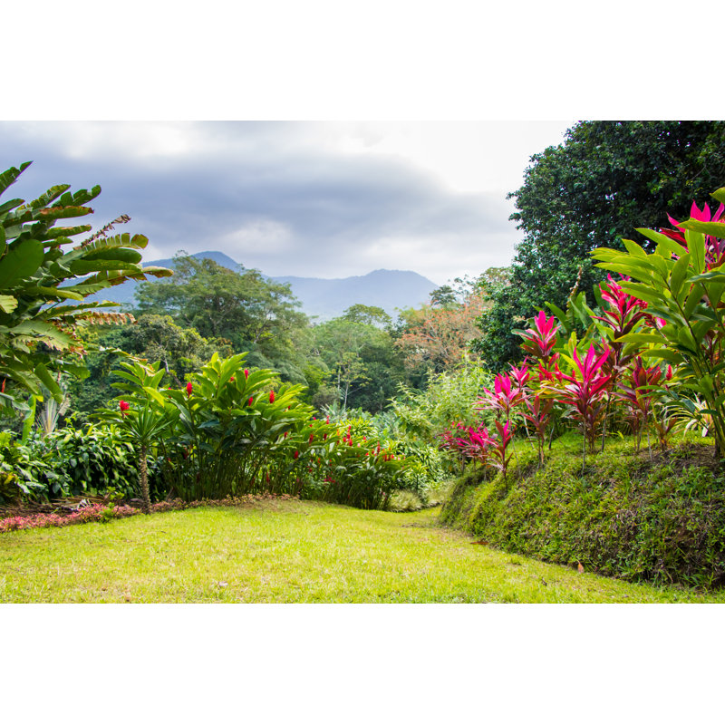 Jardin tropical - photographie sur toile tendue, H 8 po x l 12 po
